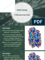 Proteins: Types and Functions