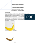 Conservacion de Los Bananos