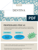 Propiedades y clasificación de la dentina