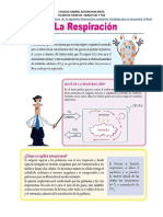 TALLER DE LA RESPIRACIÓN.pdf