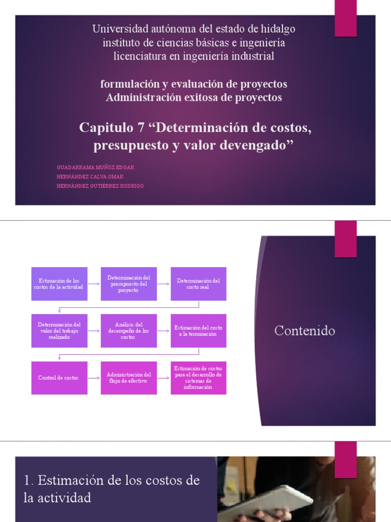 Costos y Presupuestos en Proyectos | PDF | Presupuesto | Economias