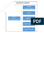 Lavado de Tomate 1 PDF