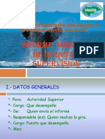 Formato de Informe de Gira