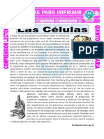Compresión Lectora PDF