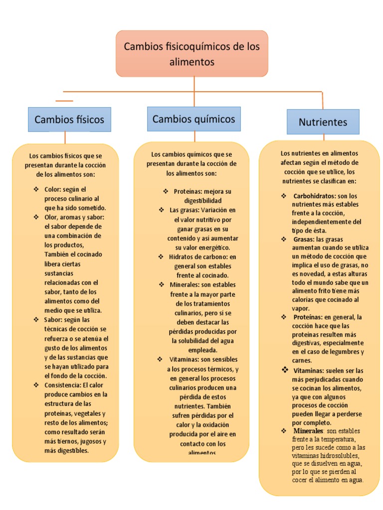 Cambios Físicos y Químicos en Alimentos | PDF | Alimentos | Cocinando