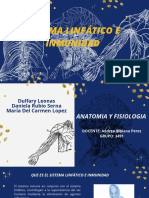 Sistema linfático e inmunidad: funciones y enfermedades