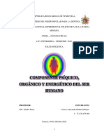 Informe#3 Componente Psíquico, Orgánico y Energético Del Ser Humano