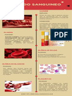 Infografía - Composición Del Tejido Sanguineo - PDF