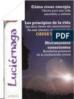 Luciernaga 4 PDF