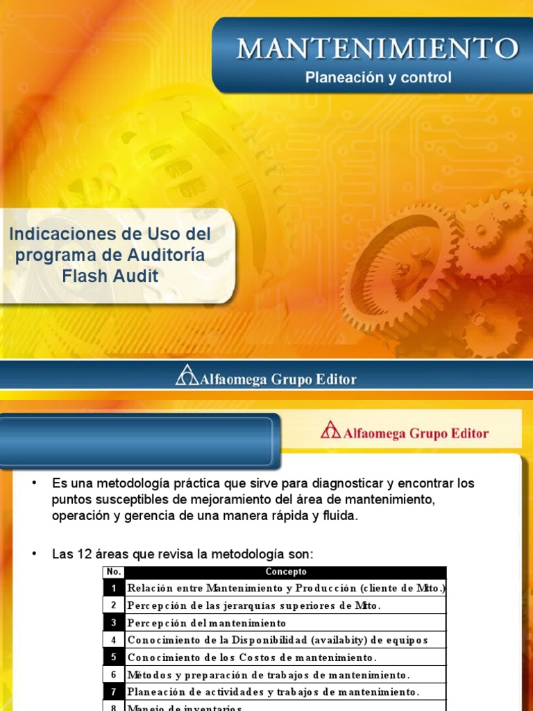 Indicaciones 15 Flash Audit | PDF | Informática | Contabilidad y Auditoria