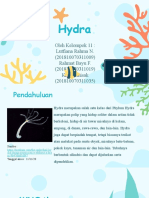 Kelompok 11 - Hydra - Biologi 5a