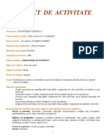 Educatie_timpurie_proiect_de_activitate_integrata_Ciocmarean.pdf