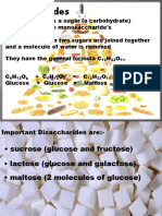 Disaccharides & Polysaccharides