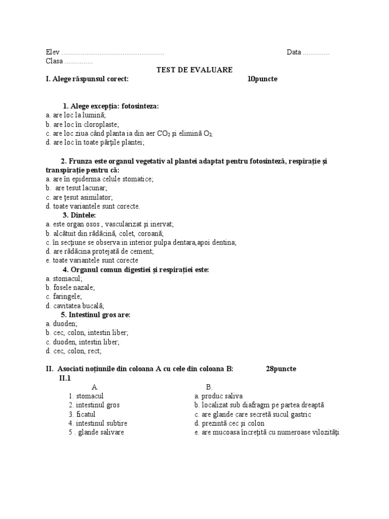 Test Clasa 6 | PDF