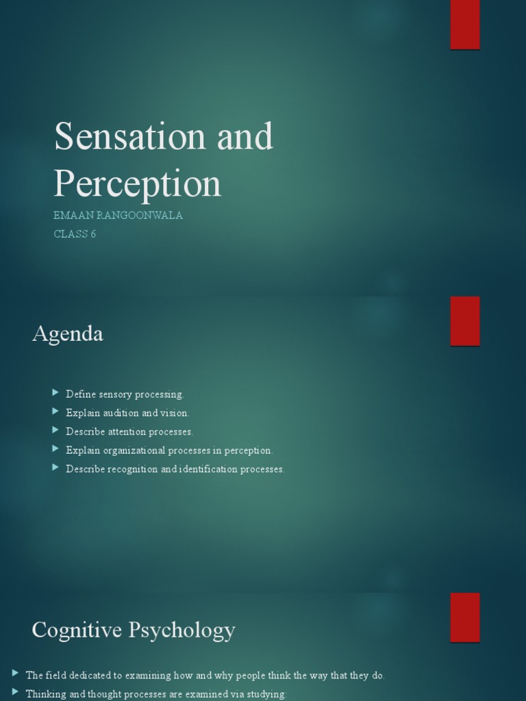 Understanding Sensation and Perception | PDF | Hearing | Perception