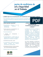 autoreportes salud y seguridad.pdf