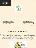 Color Food Pyramid Pdf Pdf Cooking Home