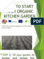 How To Start Your Organic Kitchen Garden - Kopya