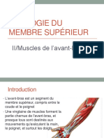 2-Muscles de l'AVANT BRAS PDF