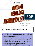 Saluran Pencernaan Manusia