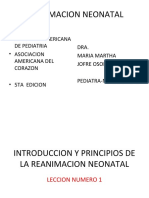 Reanimacion-Neonatal Más Didáctica