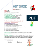 Proiect Activitate Matematica