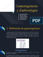 gametogenesis y embriologia 