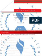 Control de Calidad PDF