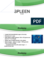 Spleen Powerpoint