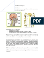 Materiales de Neuro PDF