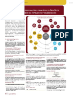 Maestros - Formacion y Transoformacionb