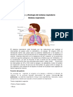 Anatomía  y fisiología del sistema respiratorio