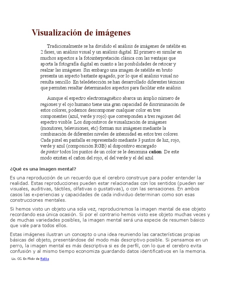 Visualización de Imágenes Mentales | PDF | Imagen | Conceptos psicologicos