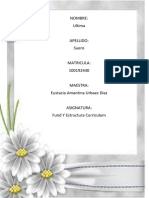 dISEÑO CURRICULAR PDF