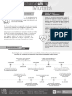 Actualidad Mutata 4 PDF