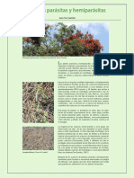 21 Plantas Parasitas PDF