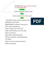 Minciuni Spioni Vocabular 6b