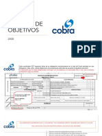 Its Informe de Objetivos