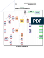 Organizador grafico S.N