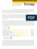 Articulacion PDF
