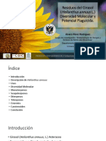 Residuos del Girasol: Diversidad Molecular y Potencial Plaguicida