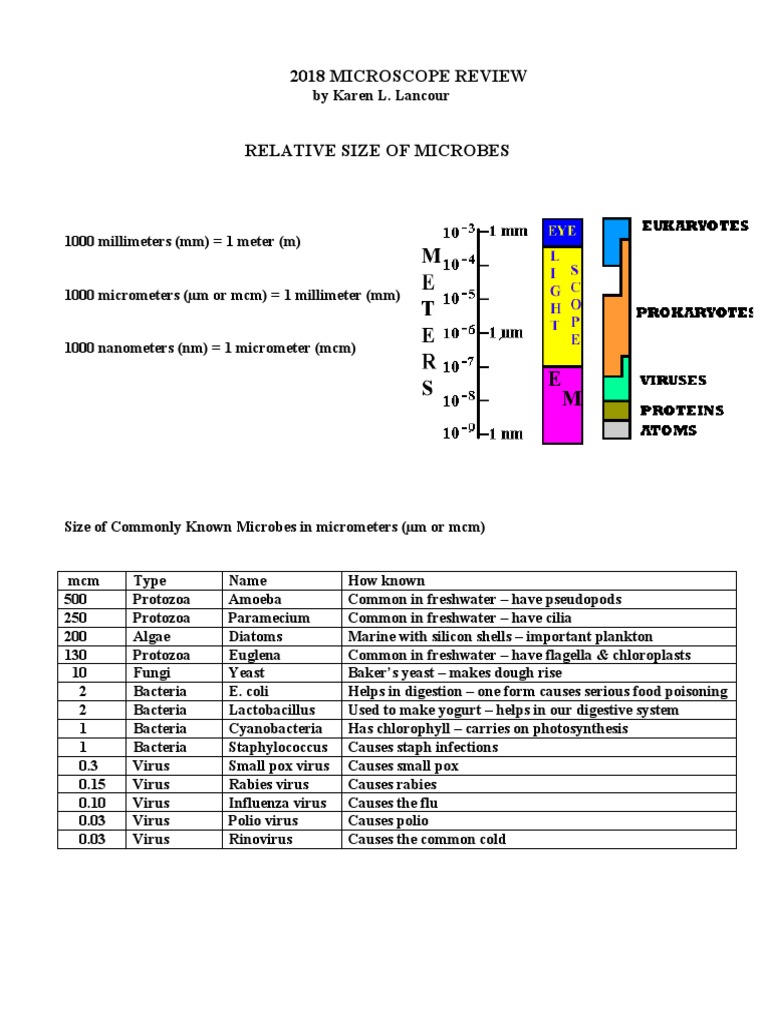 2018 Microscope Review and Microbe Sizes | PDF | Transmission Electron ...