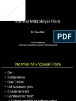 2 - Normal Flora
