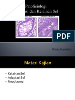 Patofisiologi Kelainan Dan Adaptasi Sel