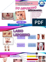 Trabajo Labio Leporino