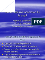Malformații.pdf