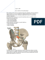 Sciatica