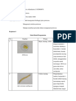 Silvia Adimiharta - 1192060097 - Praktikum 2 Zoologi Invertebrata