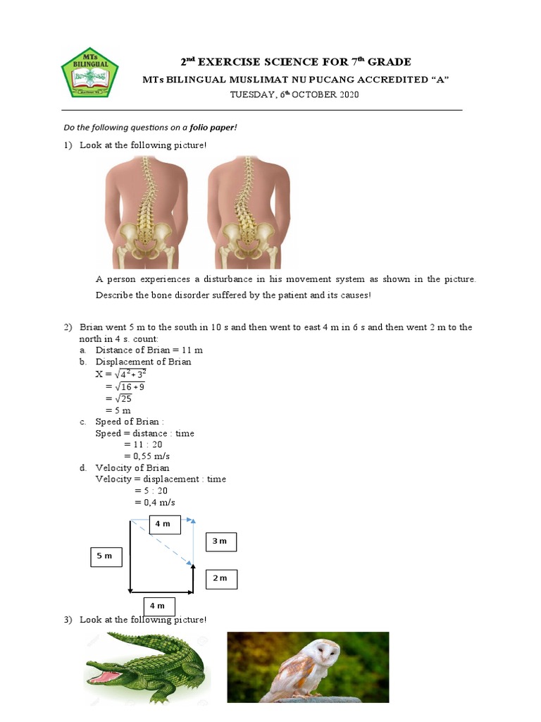2 Exercise Science For 7 Grade: Mts Bilingual Muslimat Nu Pucang ...
