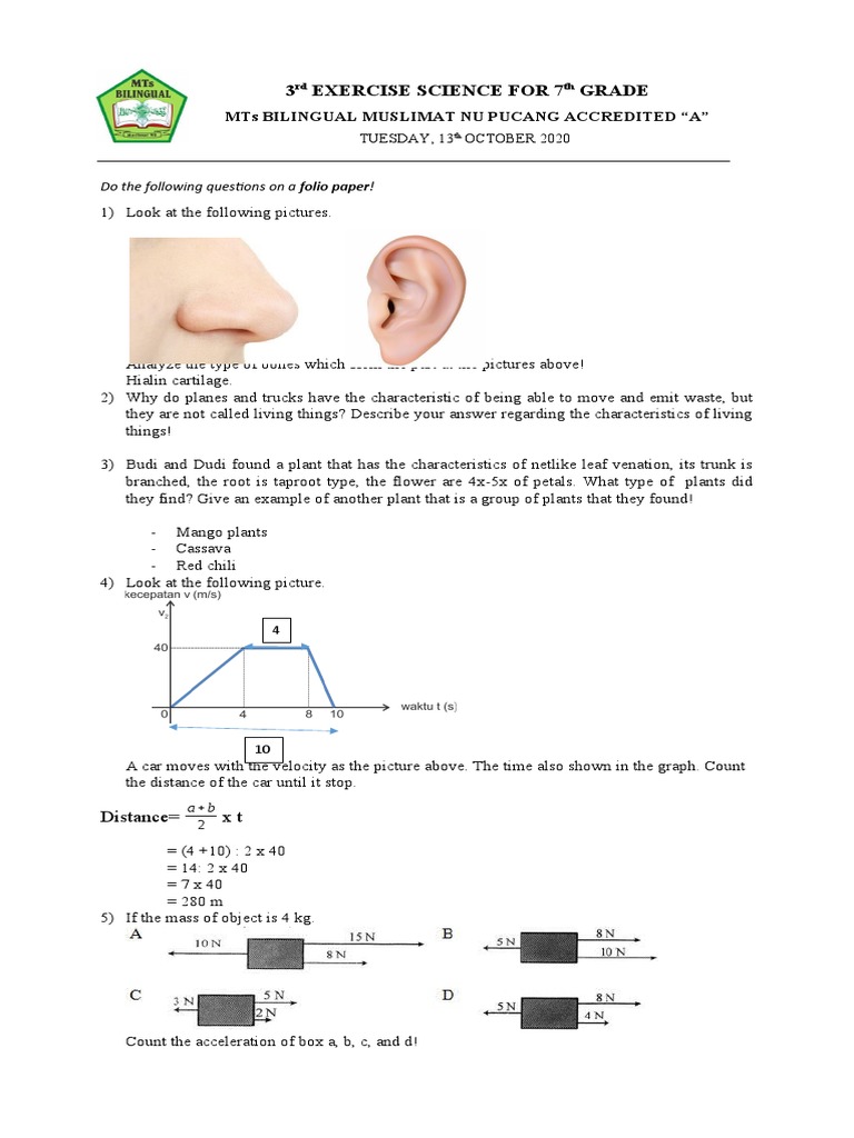 7th Grade Exercise Science Questions | PDF